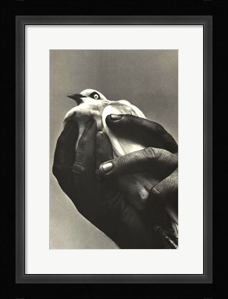 Framed Bird in Hand Print