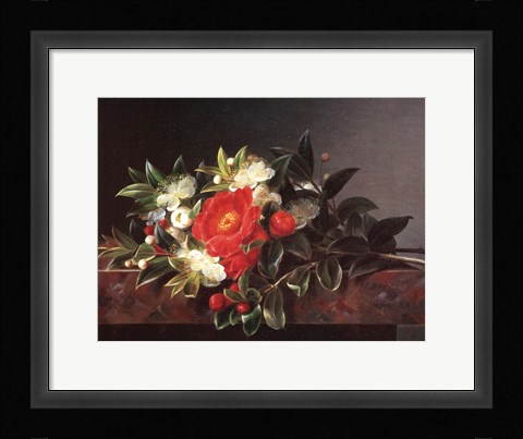 Framed Camellia's Hypericum Print