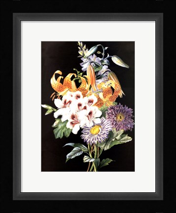 Framed Geranium Print
