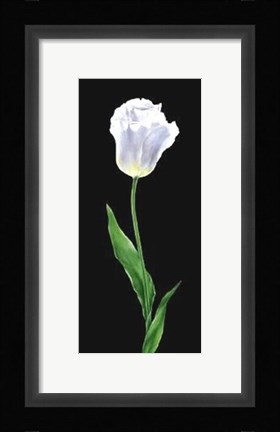 Framed Tulip Print