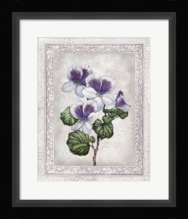 Framed Flowers of Spring II Print