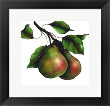 Framed Comice Pear Print