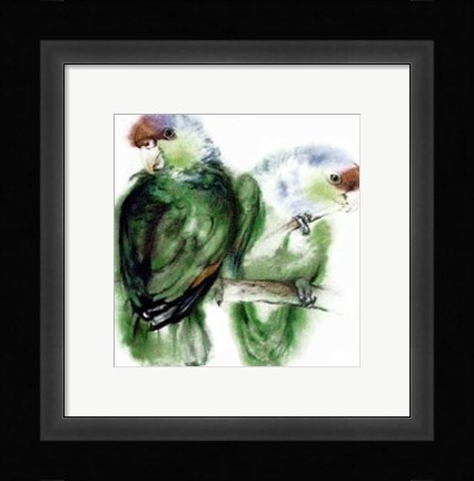 Framed Blaukappen-Amazonen (Amazona Aestiva) Print