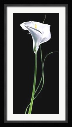 Framed Calla Lily Print