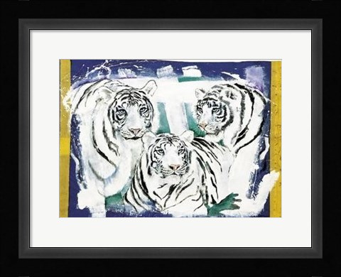 Framed Three White Tigers Print