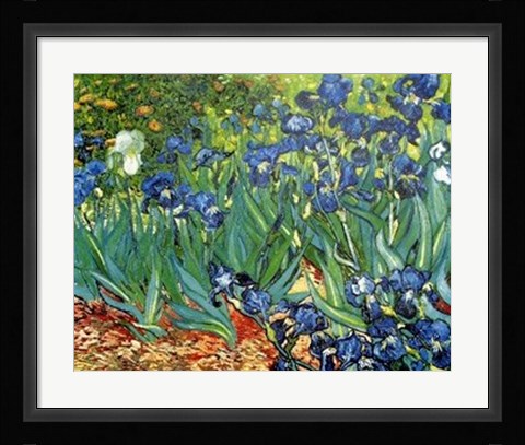 Framed Les Irises Print