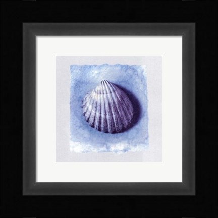 Framed Coquillage Print