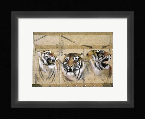 Framed Circus Tiger Print
