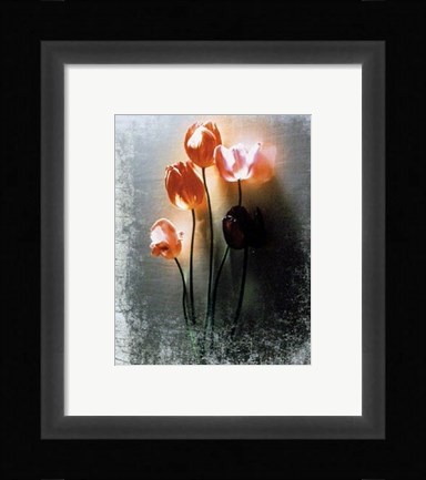Framed Five Tulips Print