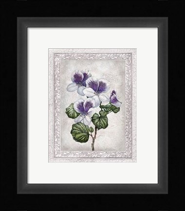 Framed Flowers of Spring II Print