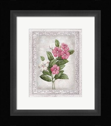 Framed Flowers of Spring III Print
