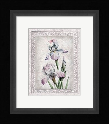 Framed Flowers of Spring IV Print