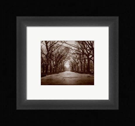 Framed Central Park Print