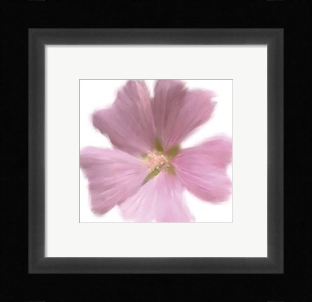 Framed Petales Roses I Print