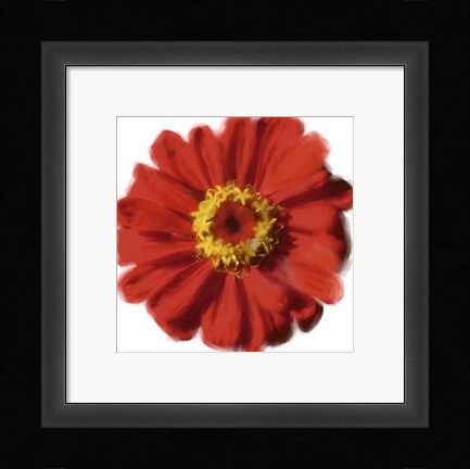 Framed Petales Rouges II Print