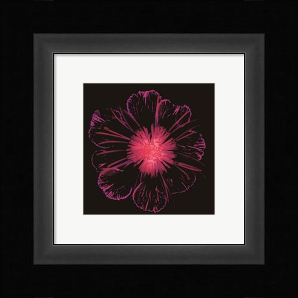 Framed Burst of Crimson Print