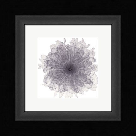 Framed Chiffon Floral Print