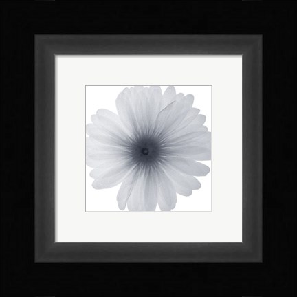 Framed Delicate Petals Print