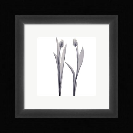 Framed Delicate Duo Print