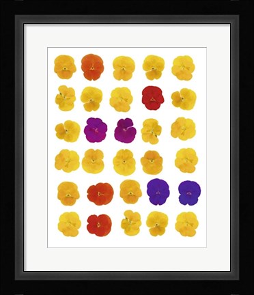 Framed Floral Celebration Print