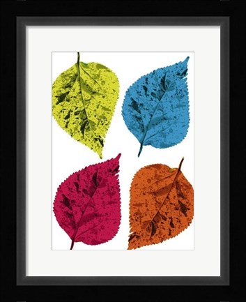 Framed Four Leaves II Print