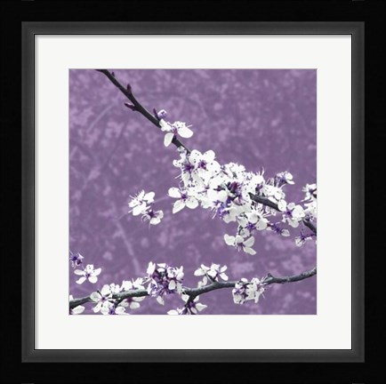 Framed Blossom in Lilac Print