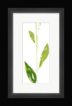 Framed Shades of Blue Print