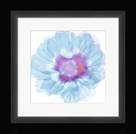 Framed Fleur Bleue Print