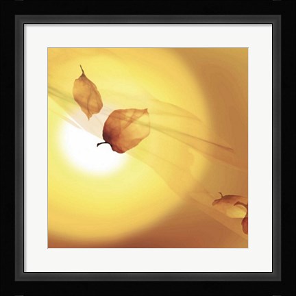 Framed Transparence III Print