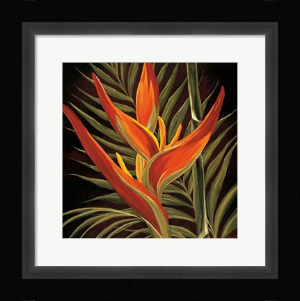 Framed Birds of Paradise I Print