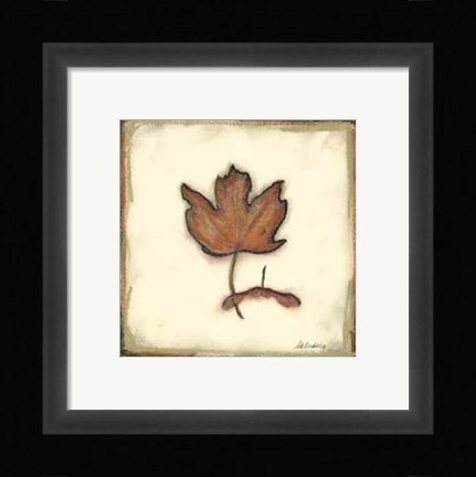 Framed Fall Color II Print