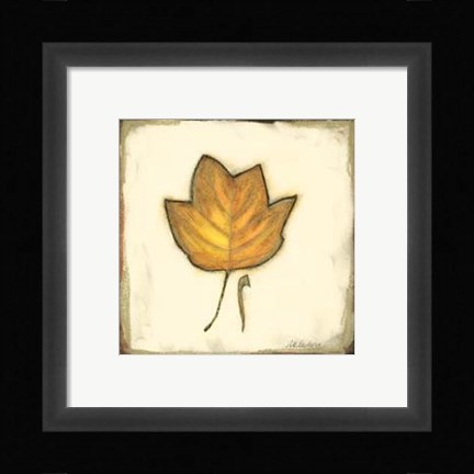 Framed Fall Color IV Print