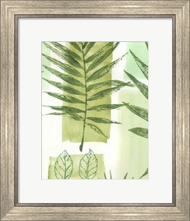 Framed Leaf Impressions III Print