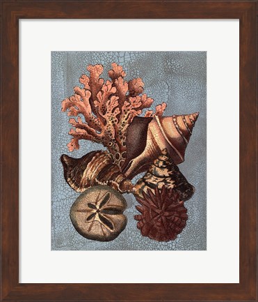 Framed Crackled Shell and Coral Collection on Aqua I Print