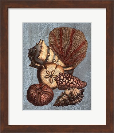 Framed Crackled Shell and Coral Collection on Aqua II Print
