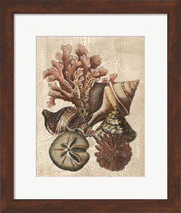 Framed Crackled Shell and Coral Collection on Cream I Print