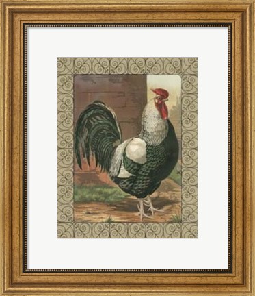 Framed Cassell&#39;s Roosters with Border IV Print