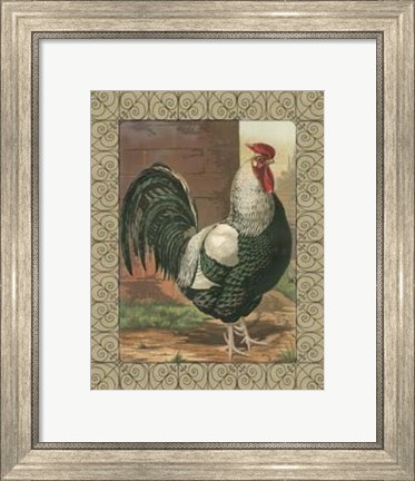 Framed Cassell&#39;s Roosters with Border IV Print