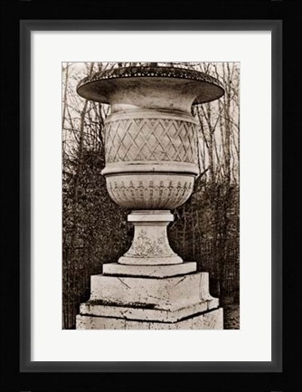 Framed Versailles Urn IV Print