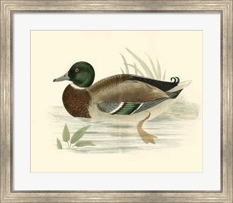 Framed Ducks I Print
