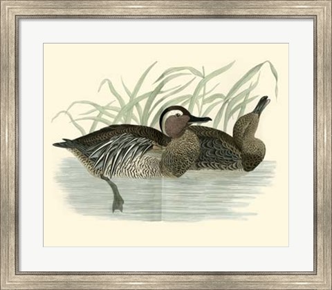 Framed Ducks II Print
