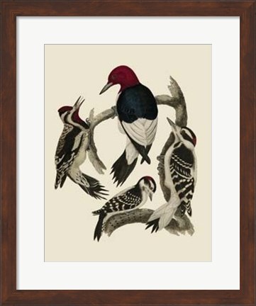 Framed Bird Family III Print