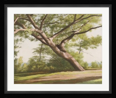 Framed Leaning Tree, 2003 Print