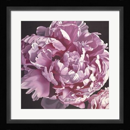 Framed Peony I Print