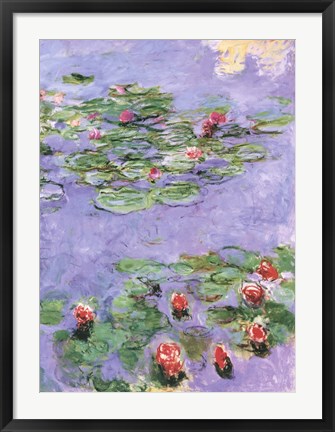 Framed Water Lilies, c. 1914-1917 Print
