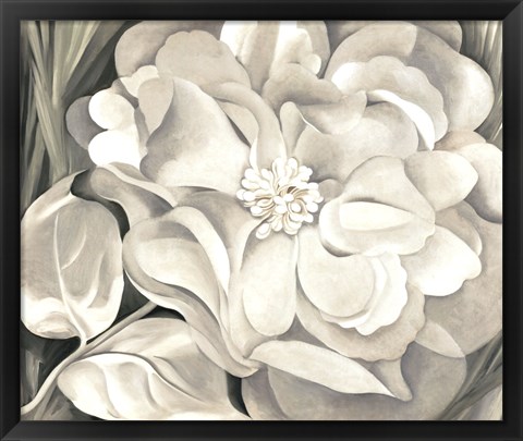 Framed White Calico Flower, 1931 Print