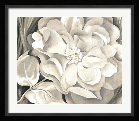 Framed White Calico Flower, 1931 Print