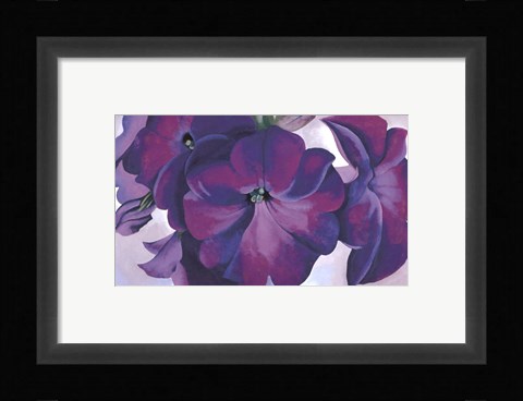 Framed Petunias, 1925 Print