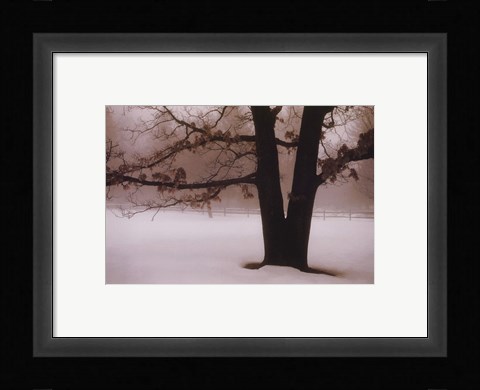 Framed Tranquility Print