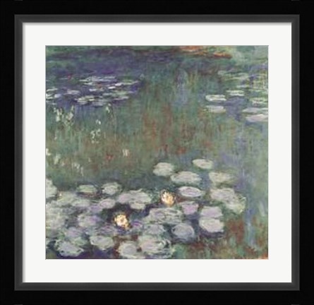 Framed Water Lilies Print